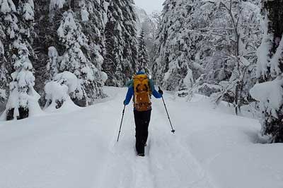 Munich Winter Walks and Hikes Outdoor Baviaria Alpine Activity